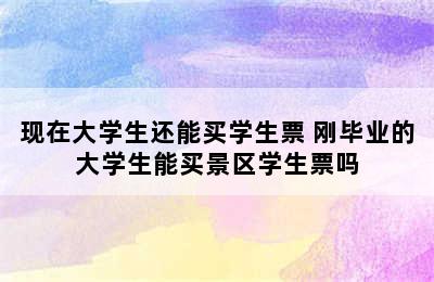 现在大学生还能买学生票 刚毕业的大学生能买景区学生票吗